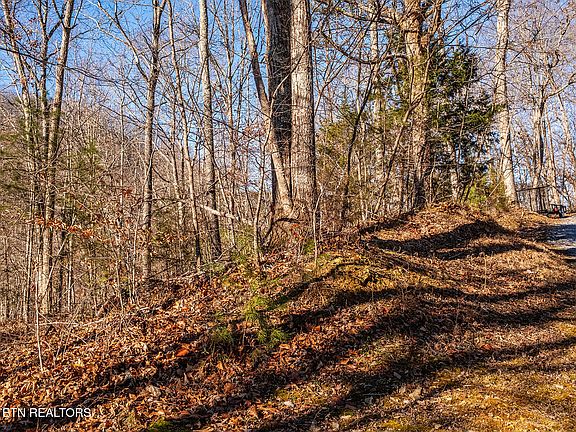 5th image of 0 Mary Way