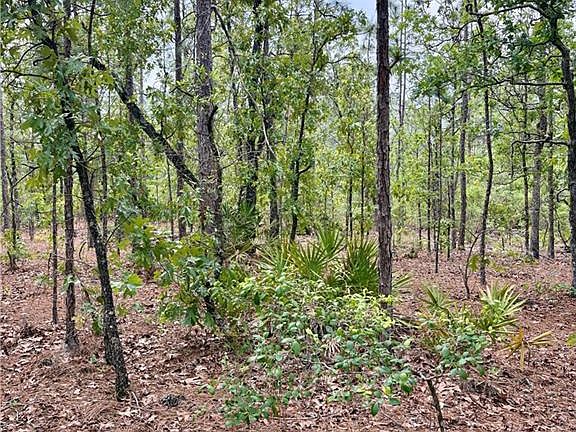 4th image of 0 Long Leaf Rd Lot 6