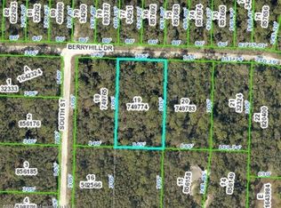 34311 Berryhill Dr, Webster, FL 33597