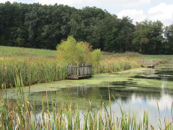 Hack Beaty Rd Lot 19, Grimsley, TN 38565