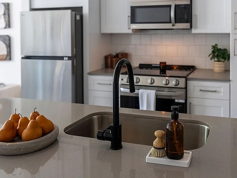 Energy Efficient Appliances