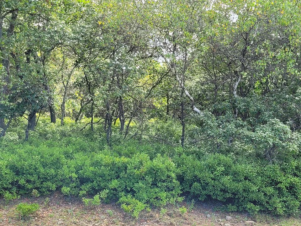 2nd image of 254 Mindy Ln