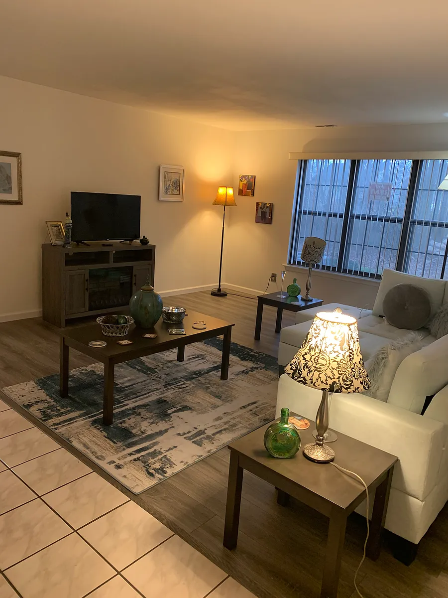 Living room TV - 285A Everly Ct #A