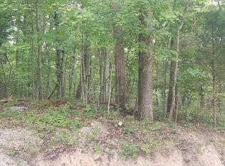 0 Chestnut Dr, Spring City, TN 37381