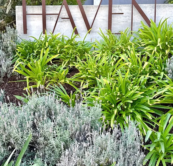 4405 W Point Loma Blvd #HAVEN POINT LOMA - — Photo 4