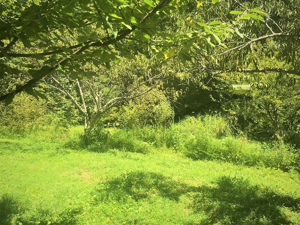 1st image of Lonesome Mountain Ln