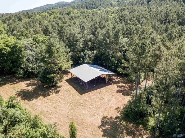 County Road 483, Collinsville, AL 35961