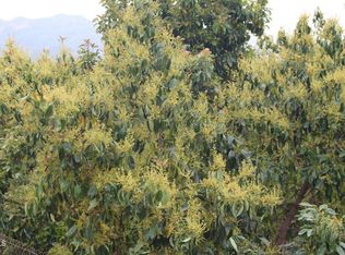 0 Camulos St, Piru, CA 93040