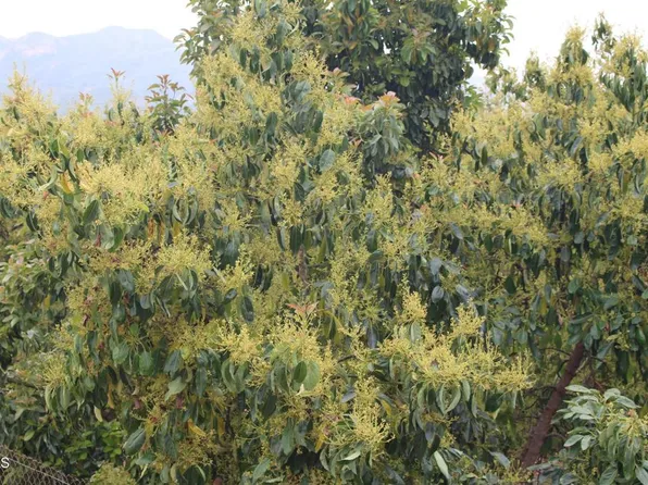 0 Camulos St, Piru, CA 93040