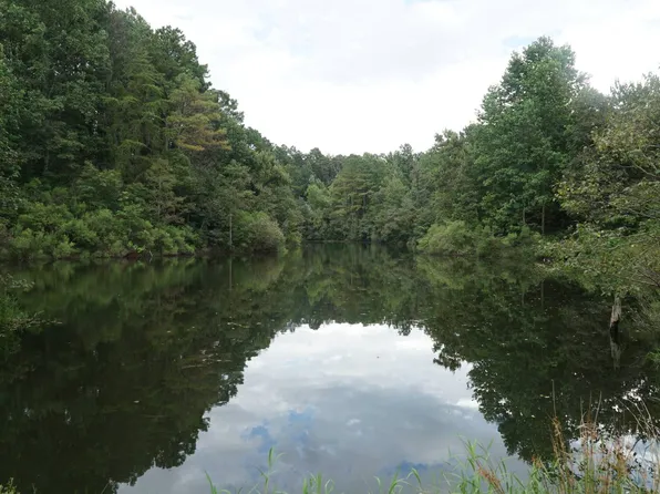 0 County Road 9, Lynn, AL 35575