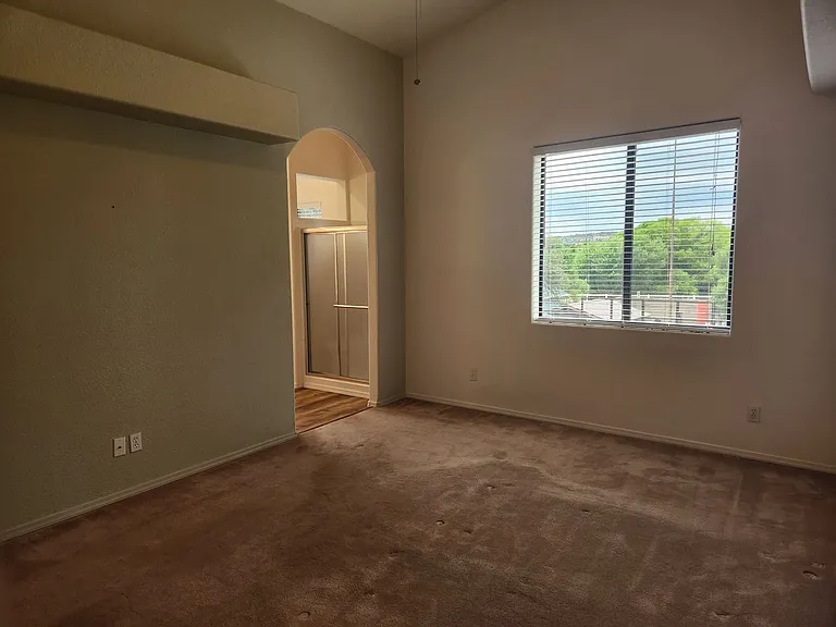 310 N Stagecoach Pass — Photo 15