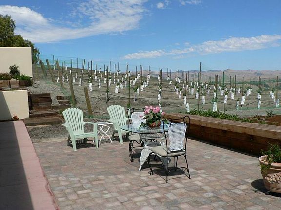 Vineyard - patio off rose garden