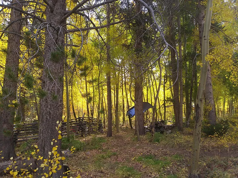 38 Skicrest Ln #CABIN — Photo 12