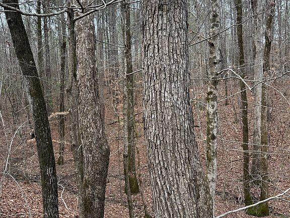 3rd image of 0 Highway 15