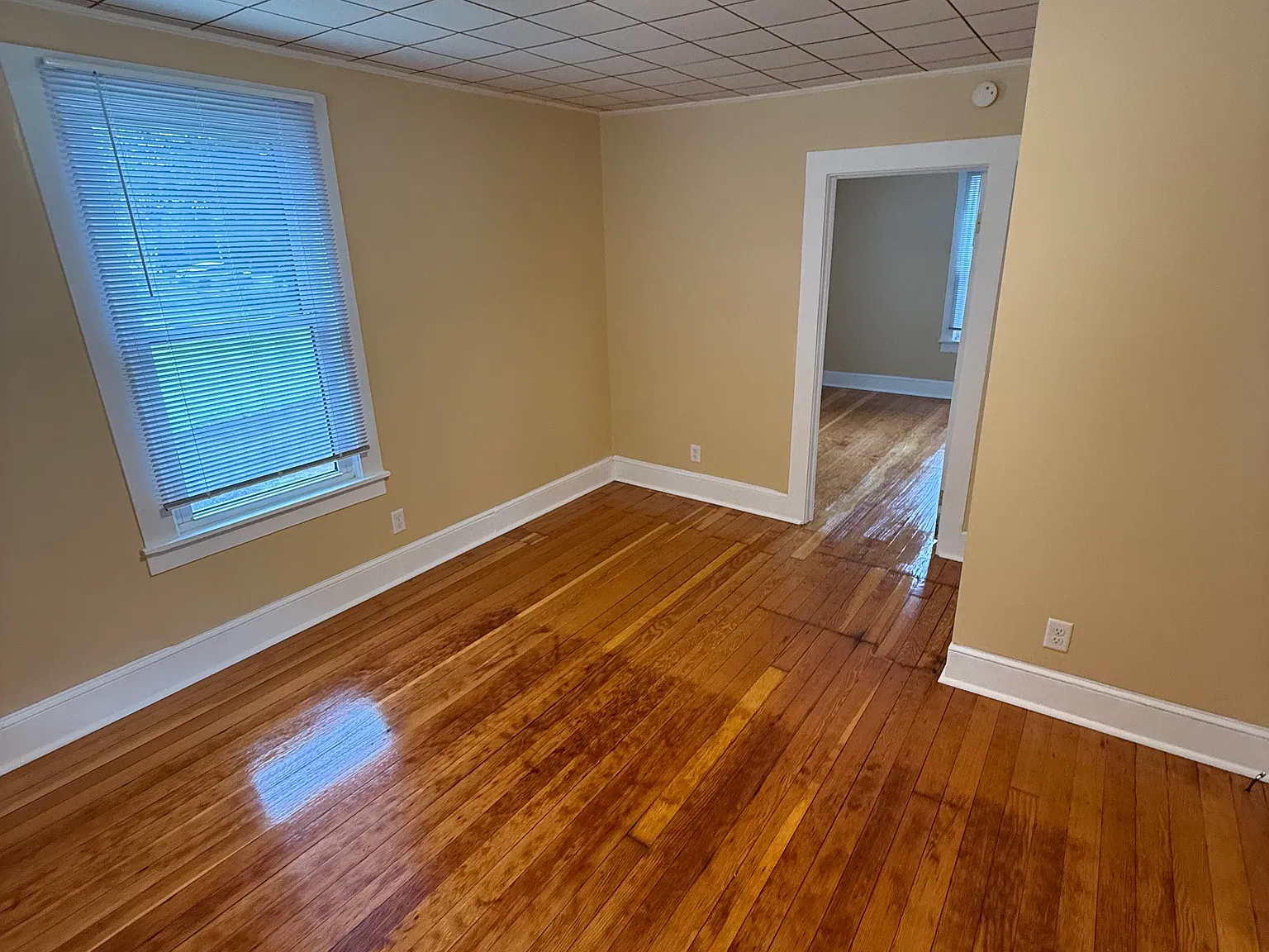 5 bed, 1600 sqft, $3,000 — Photo 4