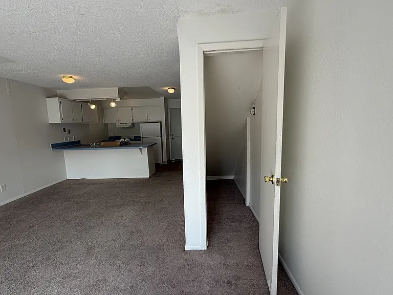 1065 University Ave #217 — Photo 9