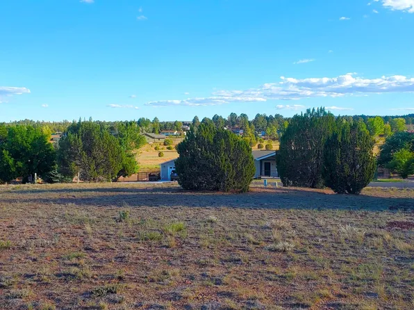 7032 Stagecoach Pass, Show Low, AZ 85901