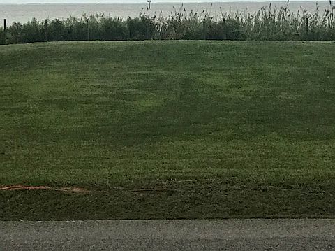 Cleared, dirt & bulkhead