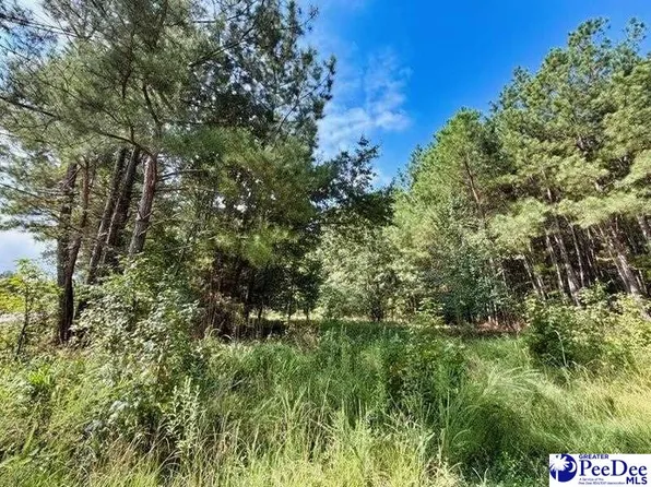 Laney Rd, Cheraw, SC 29520