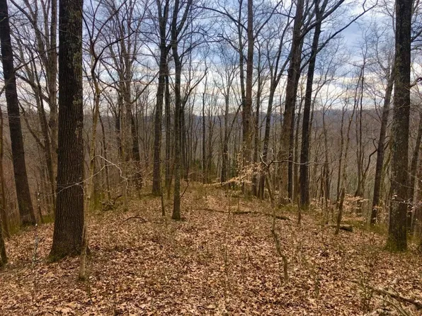 0 Simpkins Rd, Whites Creek, TN 37189