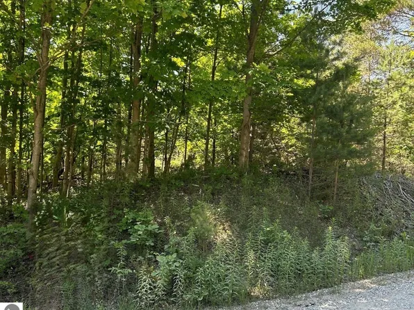 0 W Briar Hill Dr, Maple City, MI 49664