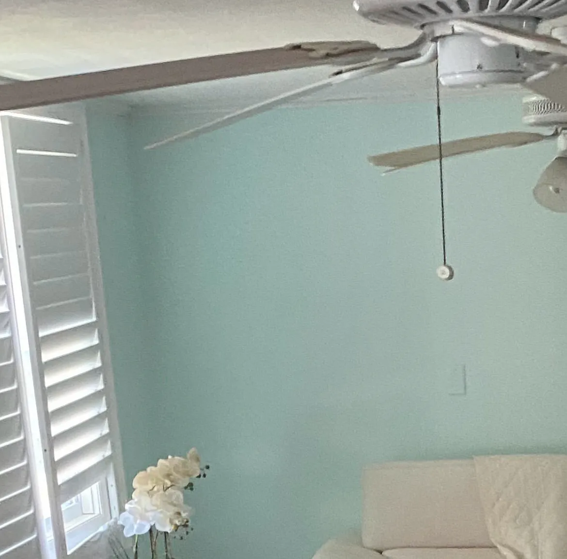 2 bed, 1115 sqft, $3,300 — Photo 4