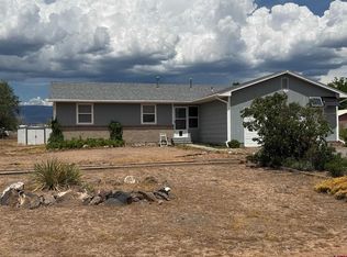 21195 Mountain Village Drive, Eckert, CO 81418