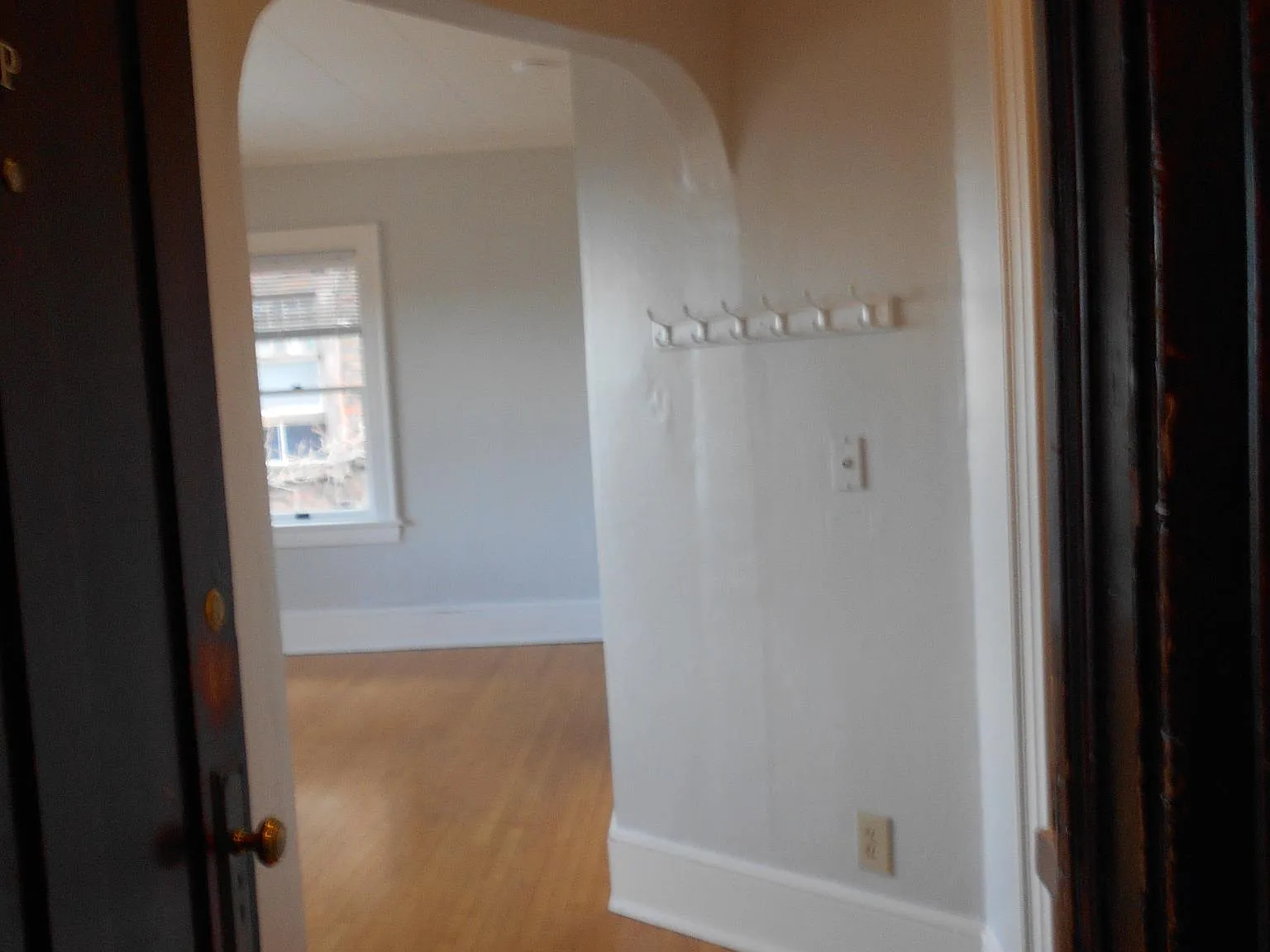 1 bed, 475 sqft, $975 — Photo 2
