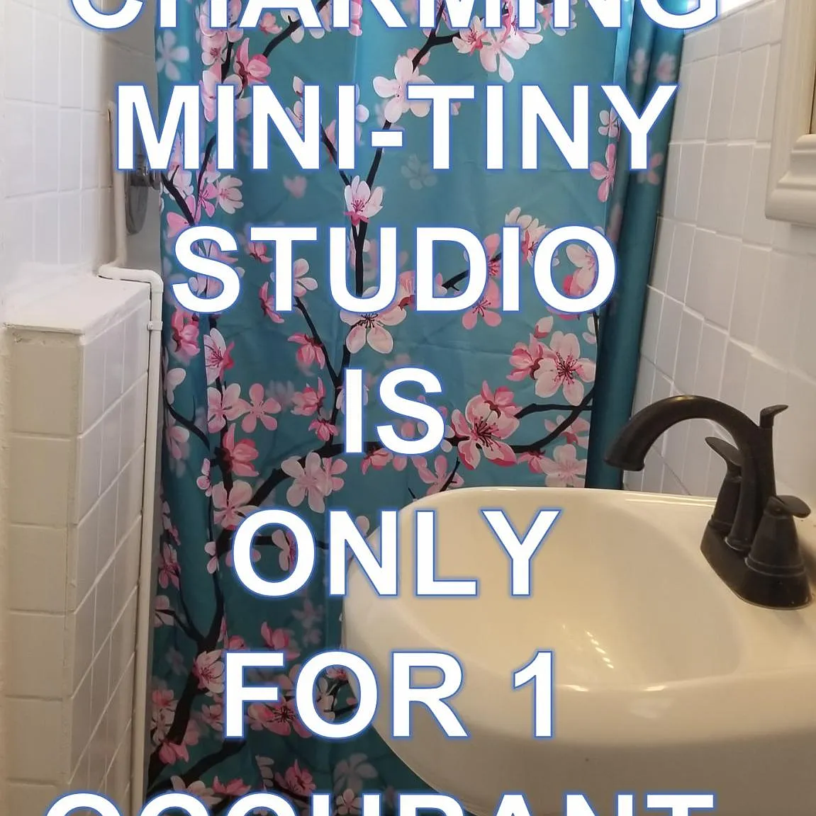 Studio, 180 sqft, $1,000 — Photo 3