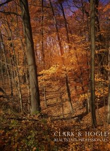 0 Lakeside Dr, Perrinton, MI, 48871