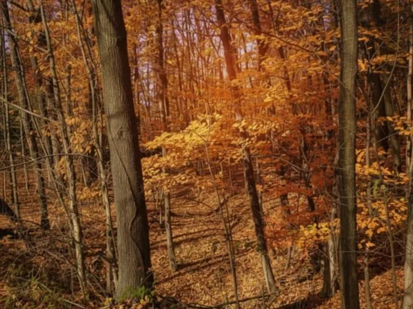 0 Lakeside Dr, Perrinton, MI 48871