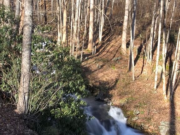 3rd image of 2094 Fisher Creek Rd
