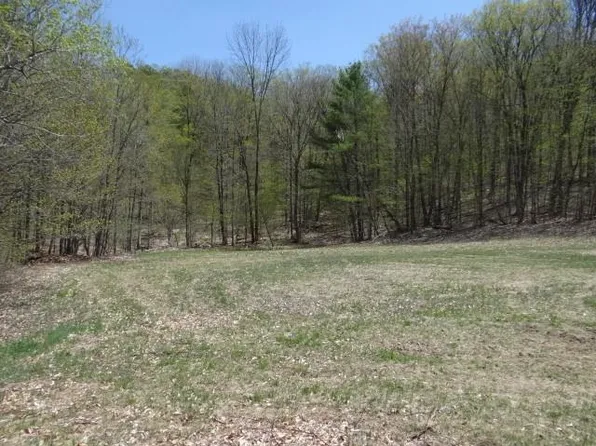 0 South Road, Woodstock, VT 05071