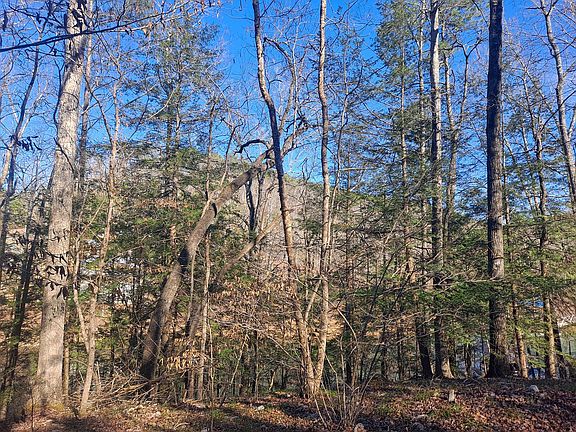 2nd image of Legends Ln