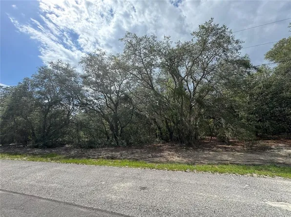 0 Fisher Ter #7, Ocklawaha, FL 32179