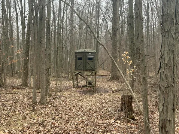 S Pittsford Rd #-v/l, Pittsford, MI 49271