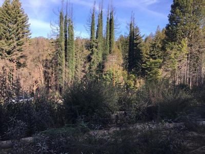 190 Fern Rock Way, Boulder Creek, CA, 95006