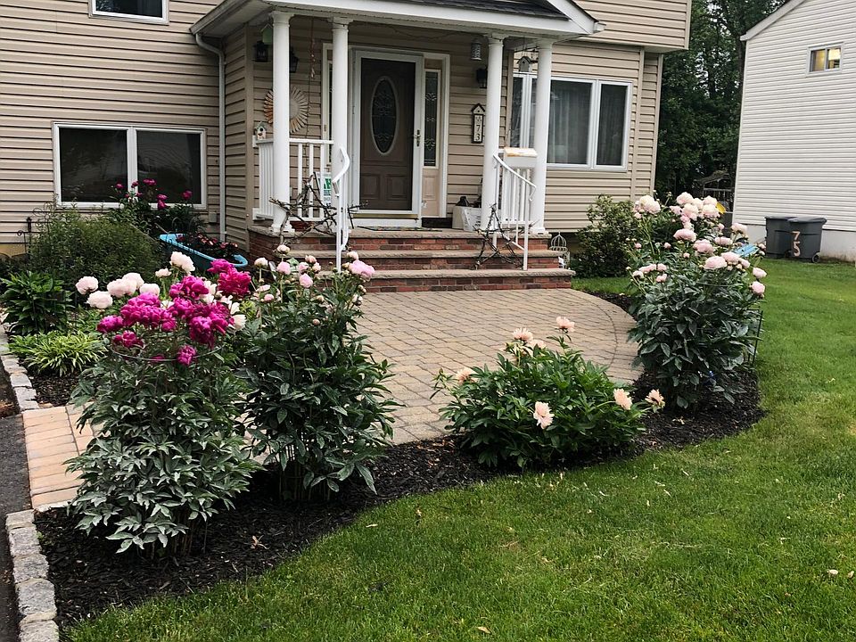 Abundant peonies bloom in the spring.