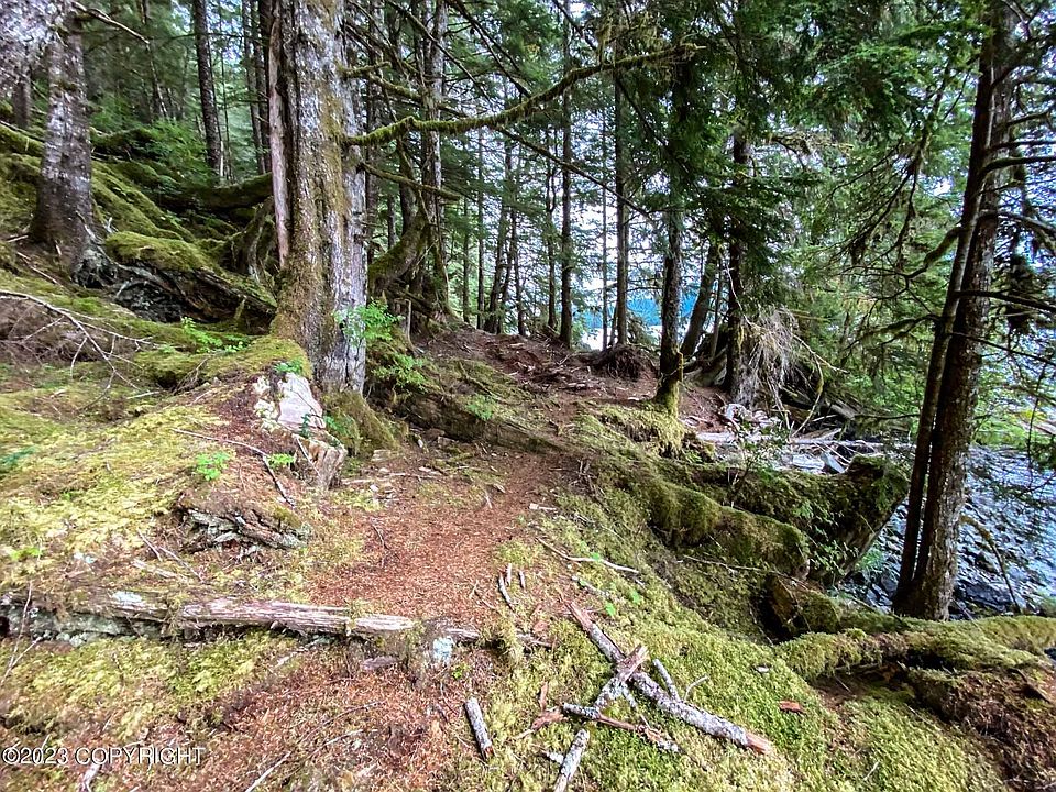 L6b1 Thorne Bay Waterfront, Thorne Bay, AK 99919 MLS 231122 Zillow
