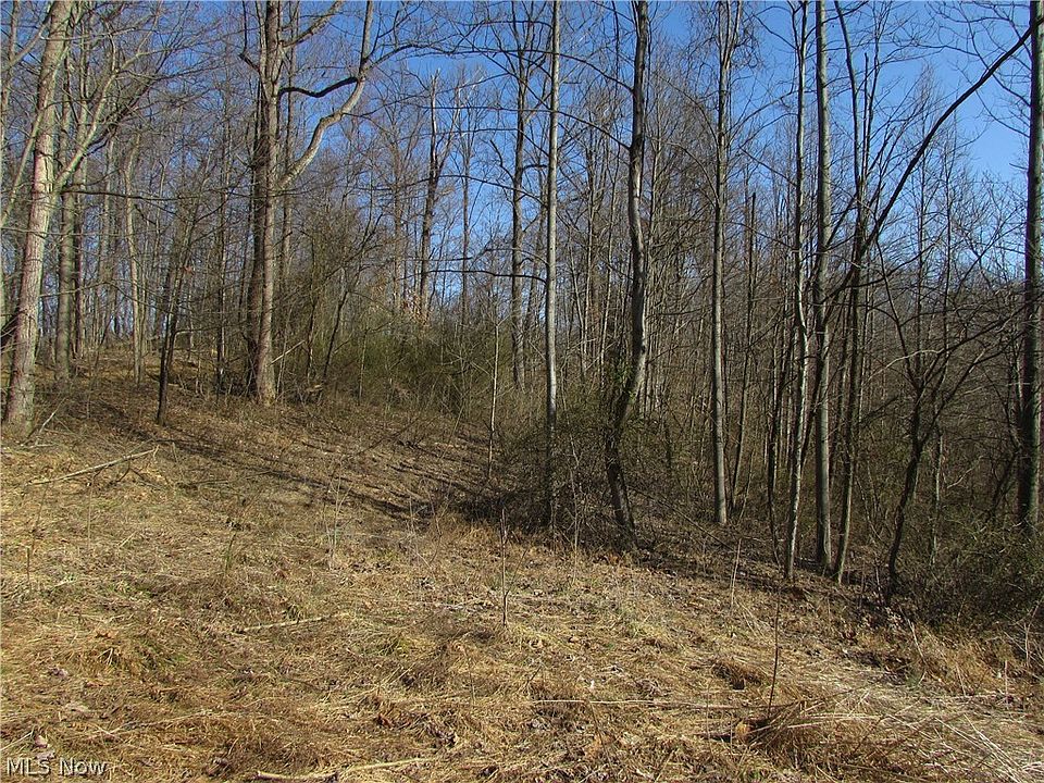 2nd image of Road Run