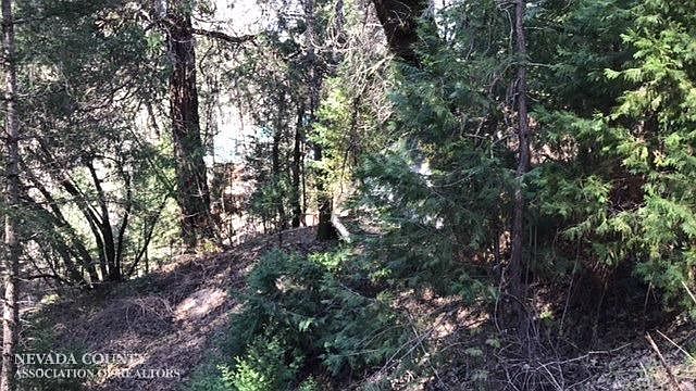 1st image of 31510 State Highway 49