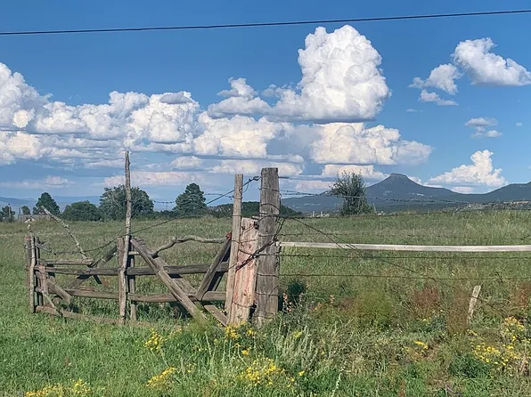 LOT County Road 425, Coyote, NM 87012