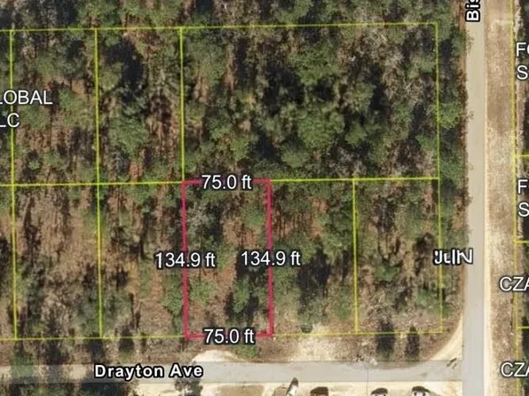 0 Drayton Ave, Interlachen, FL 32148