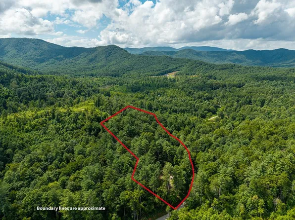 Higdon Creek Rd, Blue Ridge, GA 30513