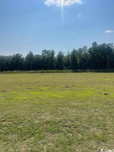 TBD Fowler School Rd., Green Sea, SC, 29545
