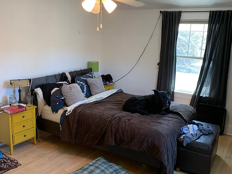 4009 Gladstone St — Photo 8