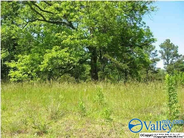 3 & 4 Mitchell Ave, Albertville, AL 35950