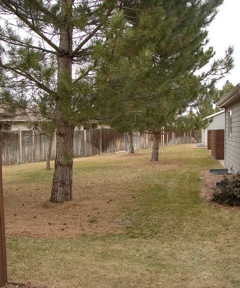 4249 Hunting Meadows Cir — Photo 18