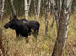 780 S Hyer Rd, Wasilla, AK 99654