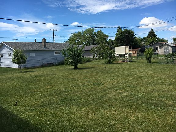 Back yard 1